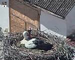 Capi_Dubne_20250427_151003.jpg