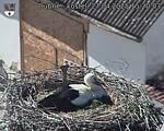 Capi_Dubne_20250427_152003.jpg