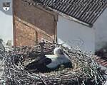 Capi_Dubne_20250427_152503.jpg