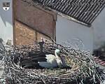 Capi_Dubne_20250427_154002.jpg