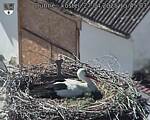 Capi_Dubne_20250427_154503.jpg