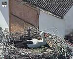 Capi_Dubne_20250427_155003.jpg