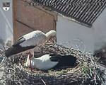 Capi_Dubne_20250427_161003.jpg