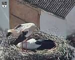 Capi_Dubne_20250427_161503.jpg