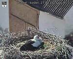 Capi_Dubne_20250427_164502.jpg