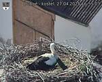 Capi_Dubne_20250427_165503.jpg