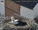 Capi_Dubne_20250427_172003.jpg