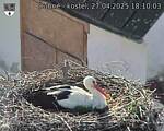 Capi_Dubne_20250427_181003.jpg