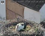 Capi_Dubne_20250427_182002.jpg