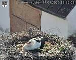 Capi_Dubne_20250427_182503.jpg
