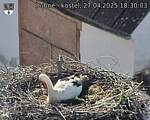 Capi_Dubne_20250427_183003.jpg