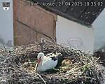 Capi_Dubne_20250427_183502.jpg