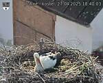 Capi_Dubne_20250427_184003.jpg