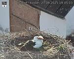 Capi_Dubne_20250427_190503.jpg