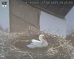Capi_Dubne_20250427_192503.jpg