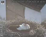 Capi_Dubne_20250427_193003.jpg