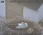 Capi_Dubne_20250427_193502.jpg