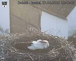Capi_Dubne_20250427_194003.jpg