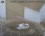 Capi_Dubne_20250427_194502.jpg