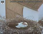 Capi_Dubne_20250427_195002.jpg