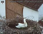 Capi_Dubne_20250427_195503.jpg