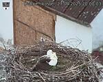 Capi_Dubne_20250427_200003.jpg