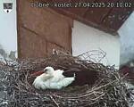 Capi_Dubne_20250427_201002.jpg