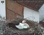 Capi_Dubne_20250427_202003.jpg