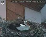 Capi_Dubne_20250427_203003.jpg