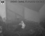Capi_Dubne_20250427_204503.jpg