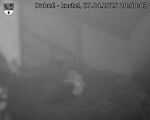 Capi_Dubne_20250427_205003.jpg