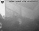 Capi_Dubne_20250427_205502.jpg