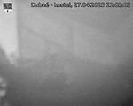 Capi_Dubne_20250427_210503.jpg