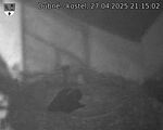 Capi_Dubne_20250427_211502.jpg