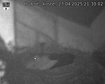 Capi_Dubne_20250427_213002.jpg