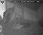 Capi_Dubne_20250427_214003.jpg