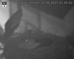 Capi_Dubne_20250427_214502.jpg