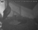 Capi_Dubne_20250427_215002.jpg