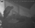 Capi_Dubne_20250427_215503.jpg