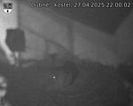 Capi_Dubne_20250427_220002.jpg