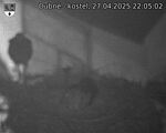 Capi_Dubne_20250427_220502.jpg