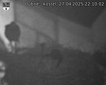 Capi_Dubne_20250427_221002.jpg
