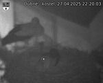 Capi_Dubne_20250427_222003.jpg