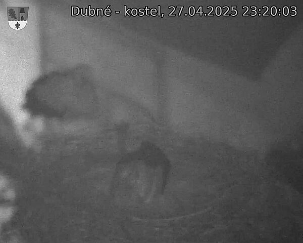 Capi_Dubne_20250427_232003.jpg (1350 x 1080)