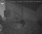 Capi_Dubne_20250427_235003.jpg