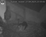 Capi_Dubne_20250427_235502.jpg
