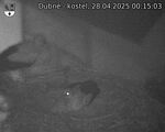 Capi_Dubne_20250428_001503.jpg