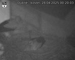 Capi_Dubne_20250428_002003.jpg