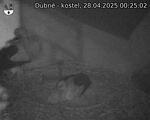 Capi_Dubne_20250428_002502.jpg