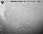 Capi_Dubne_20250428_010502.jpg